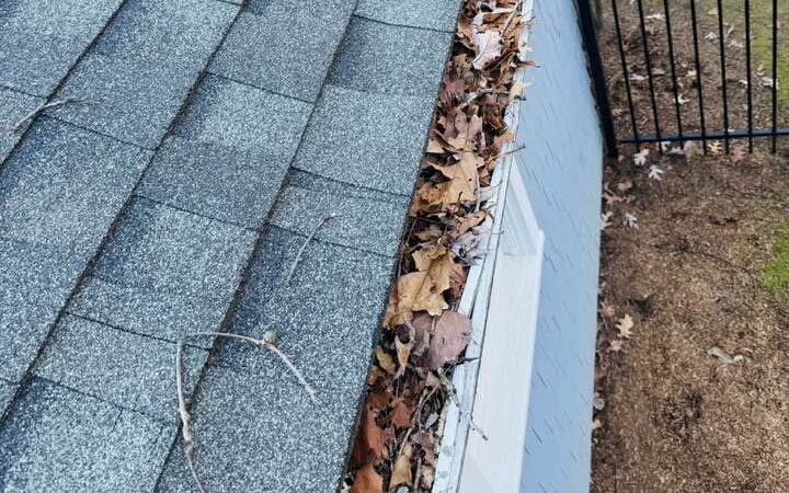 Olmos Landscaping Gutter Cleaning