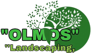 Olmos Landscaping & Construction