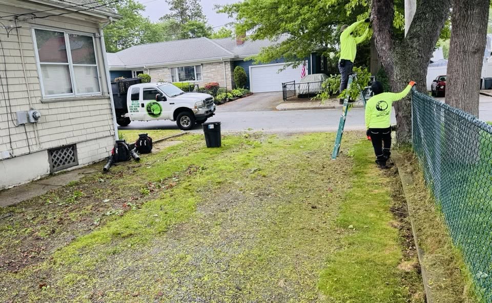 Olmos Trimming Services