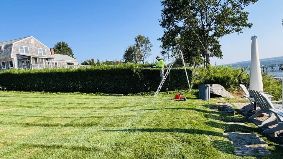 Olmos Trimming Services
